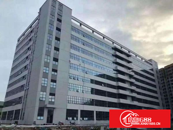 仲恺高新区沥林6万平米花园式全新落地窗厂房火爆招租可分