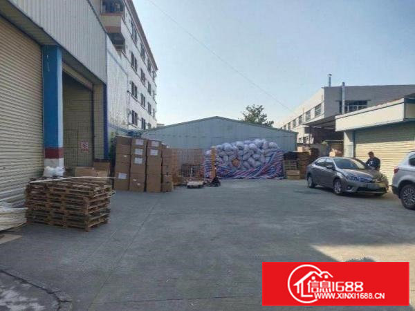 金美原房东独门独院单一层厂房1500平方