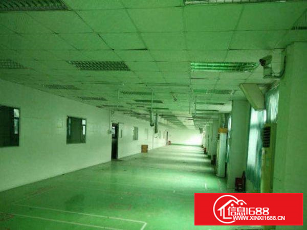 出租龙岗区吓坑新出小独院精装800平入住即生产