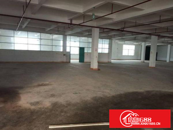 惠阳新墟新出原房东形象好楼上靓厂1900平方可分租