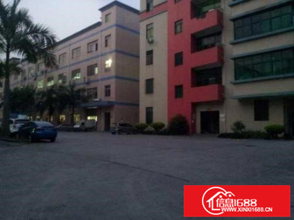 龙胜电商产业园新出3楼650平带装修厂房招租