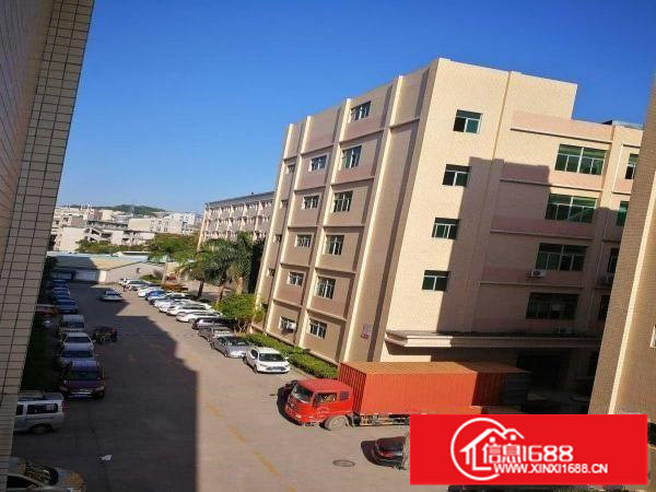 出租龙岗区坂田新基汇创新产业园