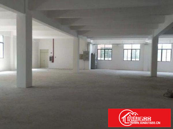 龙岗区平湖全新独院四层各1000平待出租