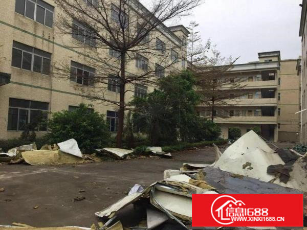 坪山大窝工业区原房东独院四层厂房2400平方米招租