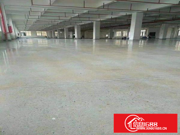 惠阳三和经济开发区全新厂房45000平米重工业厂房