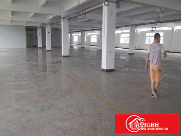 龙岗坪地新出5600平独院标准厂房出租