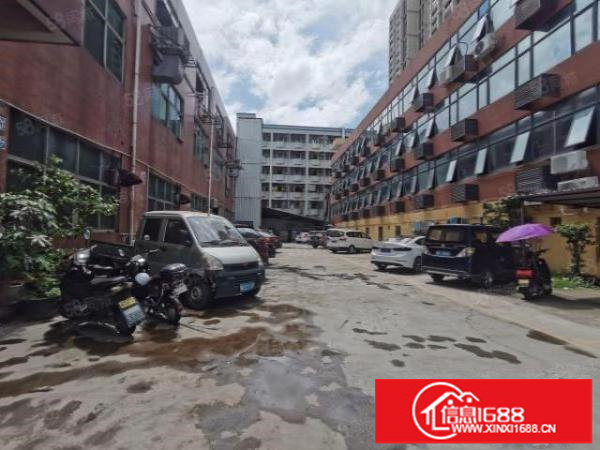 松岗全新独门独院500平厂房出租