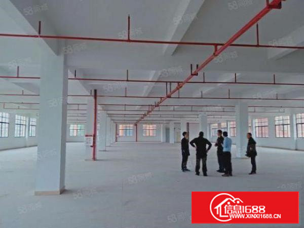 东莞塘厦厂房出租10000平方独门独院原房东国有证厂房出租