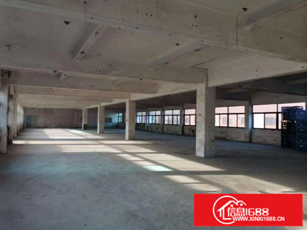 虎门树田工业区标准厂房4楼900平出租带办公室水电齐全