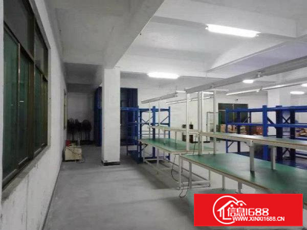 新出500平无公摊分租独栋独院带装修标准厂房