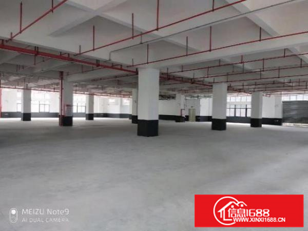 高新区标准厂房，一楼高度7.6米