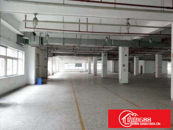 新出3万多平原房东厂房出租可做数据库等