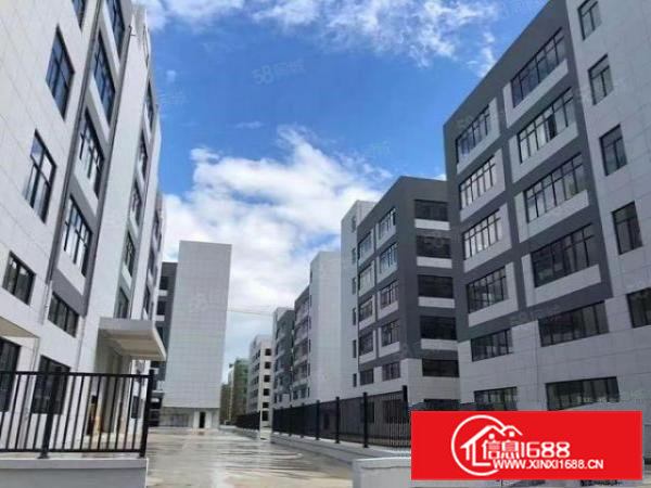 大岭山独门独院5000宿舍1000厂房出租豪华装修办公室