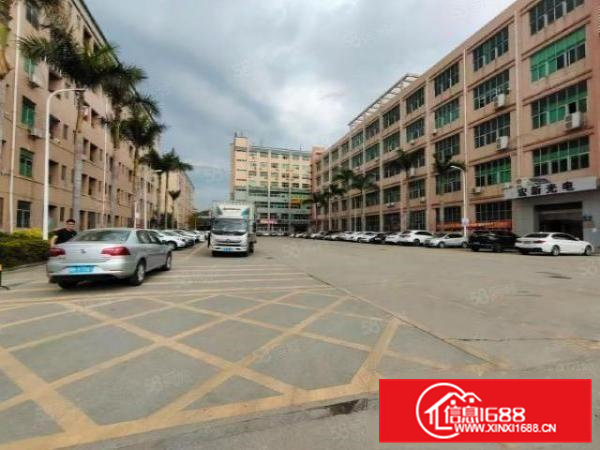 常平新出原房东独院厂房出租一层1500平方精装修办公室好招工