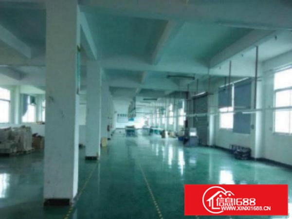 高埗新出2层厂房4500平方标准厂房出租