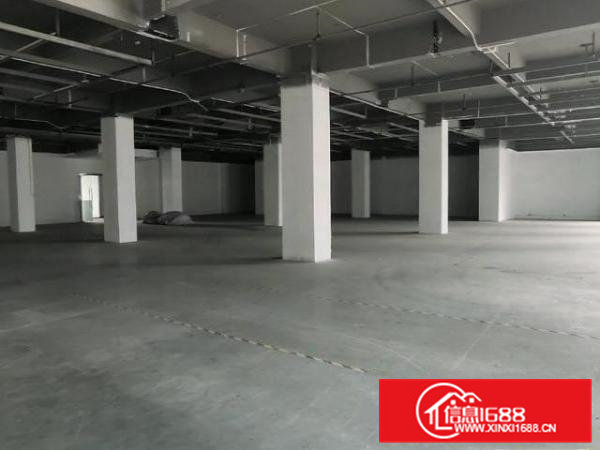 大岭山靓园区楼上豪华装修大气前台3200平