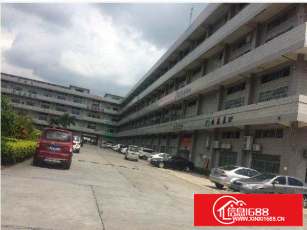 清溪青皇独院一楼800平方原房东