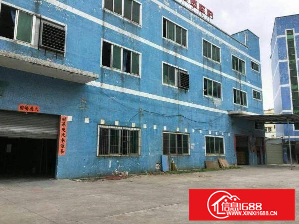 横沥镇新出带现成装修厂房招租1000平方