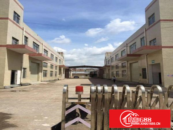 惠阳秋长新塘新出标准独院加钢构16000平米独院可分租