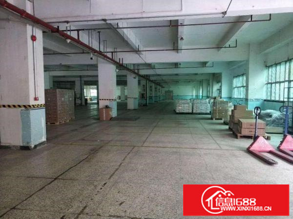 横岗5000平米高新技术产业孵化园500平起租