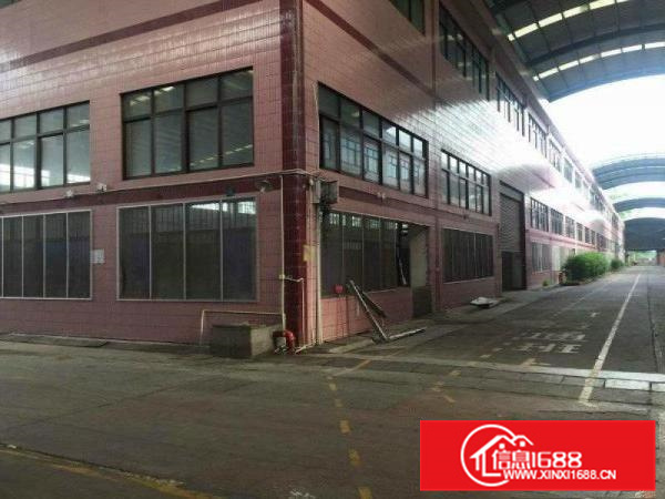 陈江独院70000平方12米高钢结构厂房（可分租）