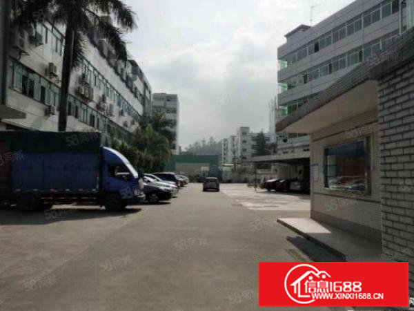 红本厂房荷坳地铁口500米产业园4800平厂房电商办公有电梯