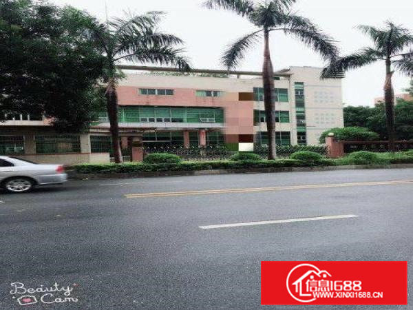 大岭山杨屋楼上560平厂房出租干净靓丽可办环评