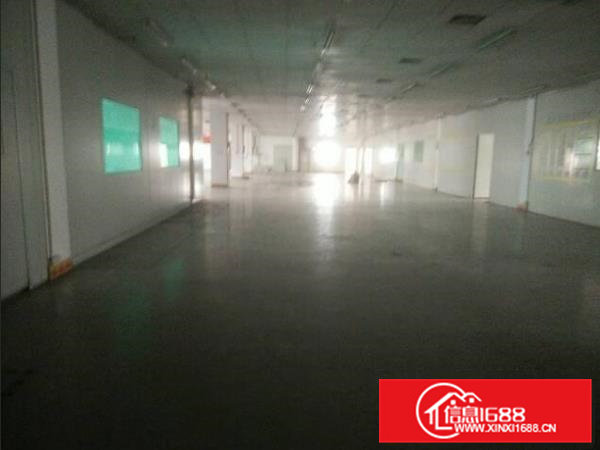 常平超靓分租1楼600平米厂房招租