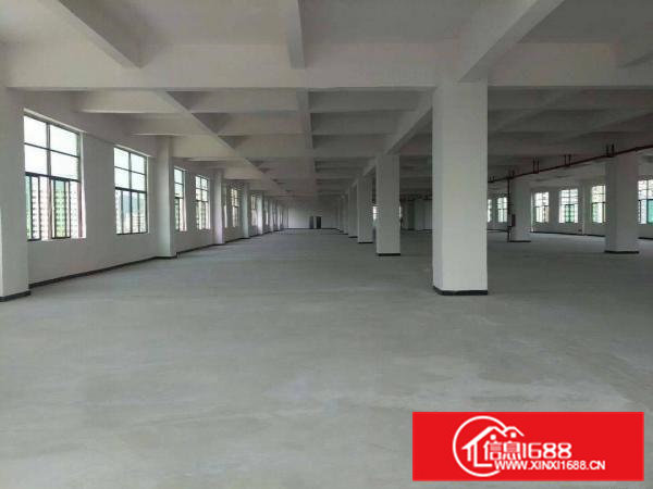 虎门新建全新重工业厂房房东直租