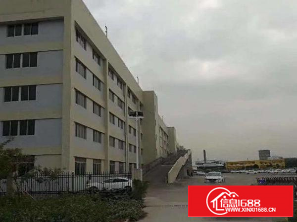 石美新出1100平米标准1招租