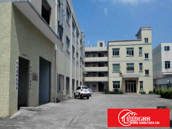 出租布吉丹竹头新出二楼厂房450平方水电齐全现成办公装修