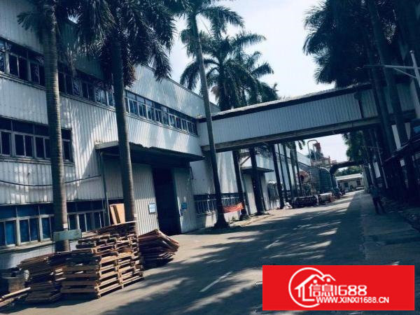 横岗保安社区钢结构厂房2000平方