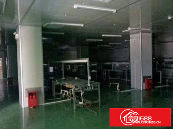 出租龙岗区新南1300平米整层无转让费采光好