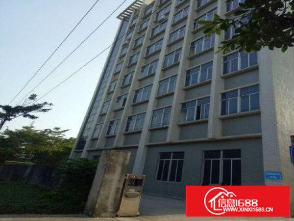 坪山石井办公室大小分租100平米起租物业直租