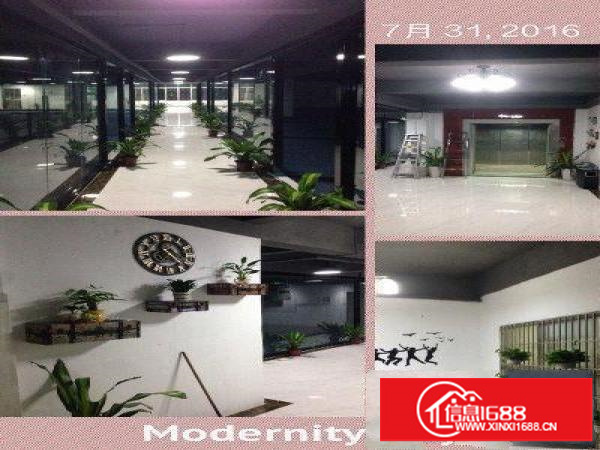 实用率高五和大道厂房办公招租大小可分