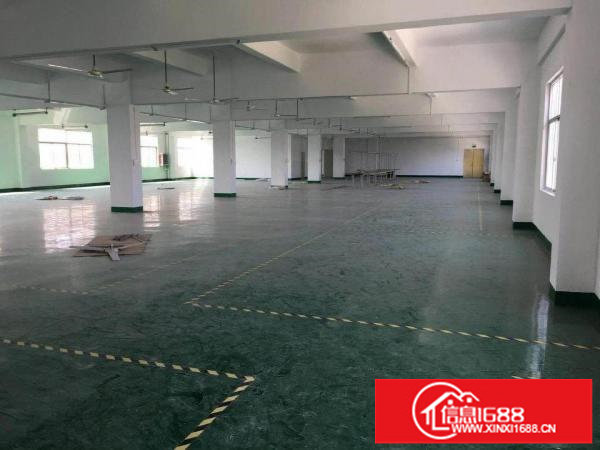 龙岗南约新出独院11000平方，形象好，空地大