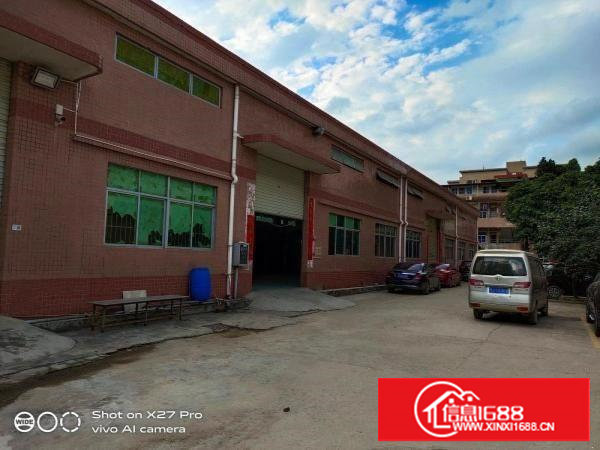 塘厦莲湖新出单一层钢构1000平滴水6米现成办公室原房东直租