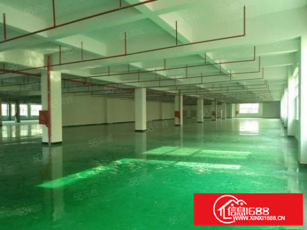 凤岗五联2200平厂房出租内部形象优带全新地坪漆消防喷淋