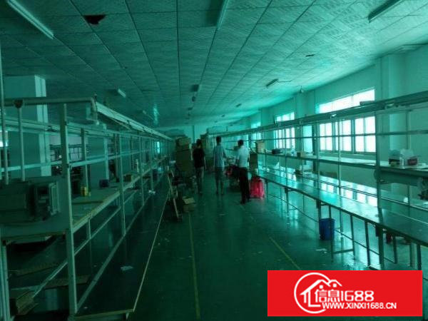 横岗荷坳原房东二楼带装修出租