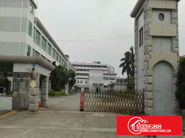 塘厦迎宾主干道旁1楼4380平方高7米带牛角可分租