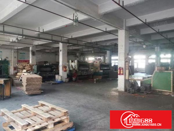 茶山镇南社新出标准厂房一楼整层3000平花园式大空地带红本