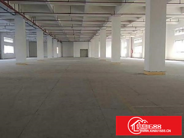 万江工业园楼上带现成装修厂房1350平方出租有电梯交通方便