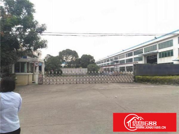 容桂新出厂房招租,带行车,形象好,可办环评,可分租