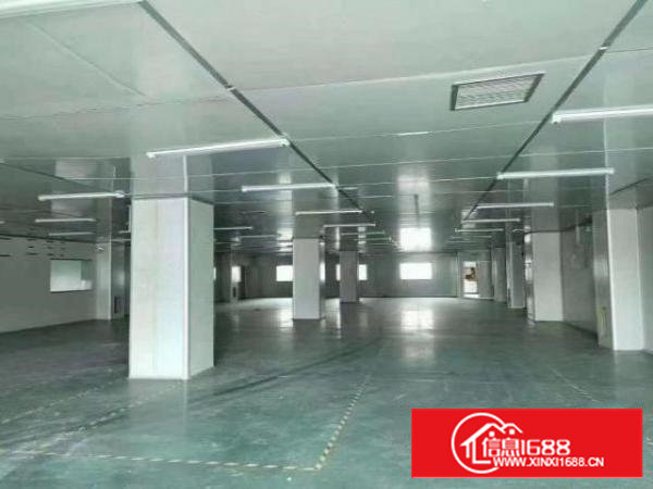 沙井万丰98工业城无公摊一整层850平米无尘车间厂房出租