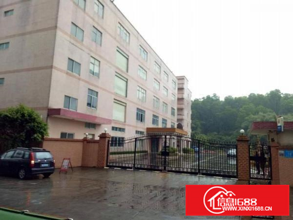 带装修700平方出租