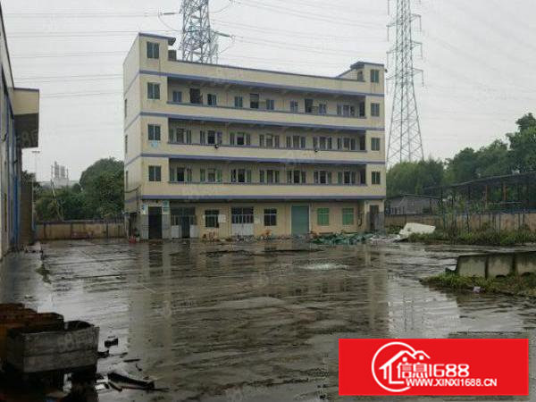 东莞横沥镇原房东八米高单层独院厂房出租急租