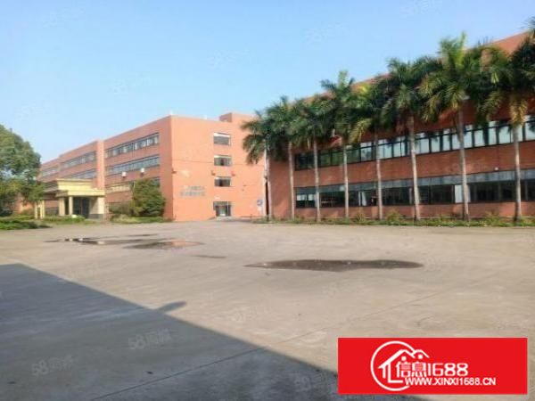 伦教工业区独门独院14000方招租，滴水12米