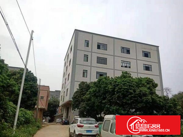 杨涌6米高一楼厂房出租