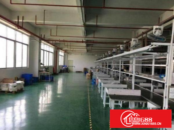 容桂东风1楼550平电子厂房带装修招租