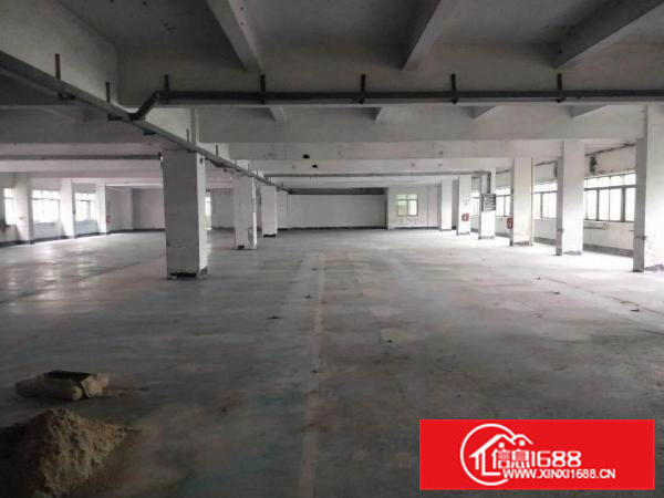 虎门大宁新出一5层独门独院厂房15000平